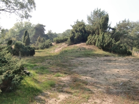 Schermbeck : Impressionen aus dem Naturschutzgebiet Loosenberge